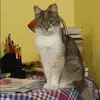 Отзыв от Любовь Петрова